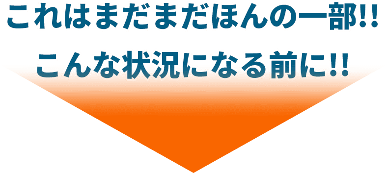 これはまだまだほんの一部!! こんな状況になる前に!!